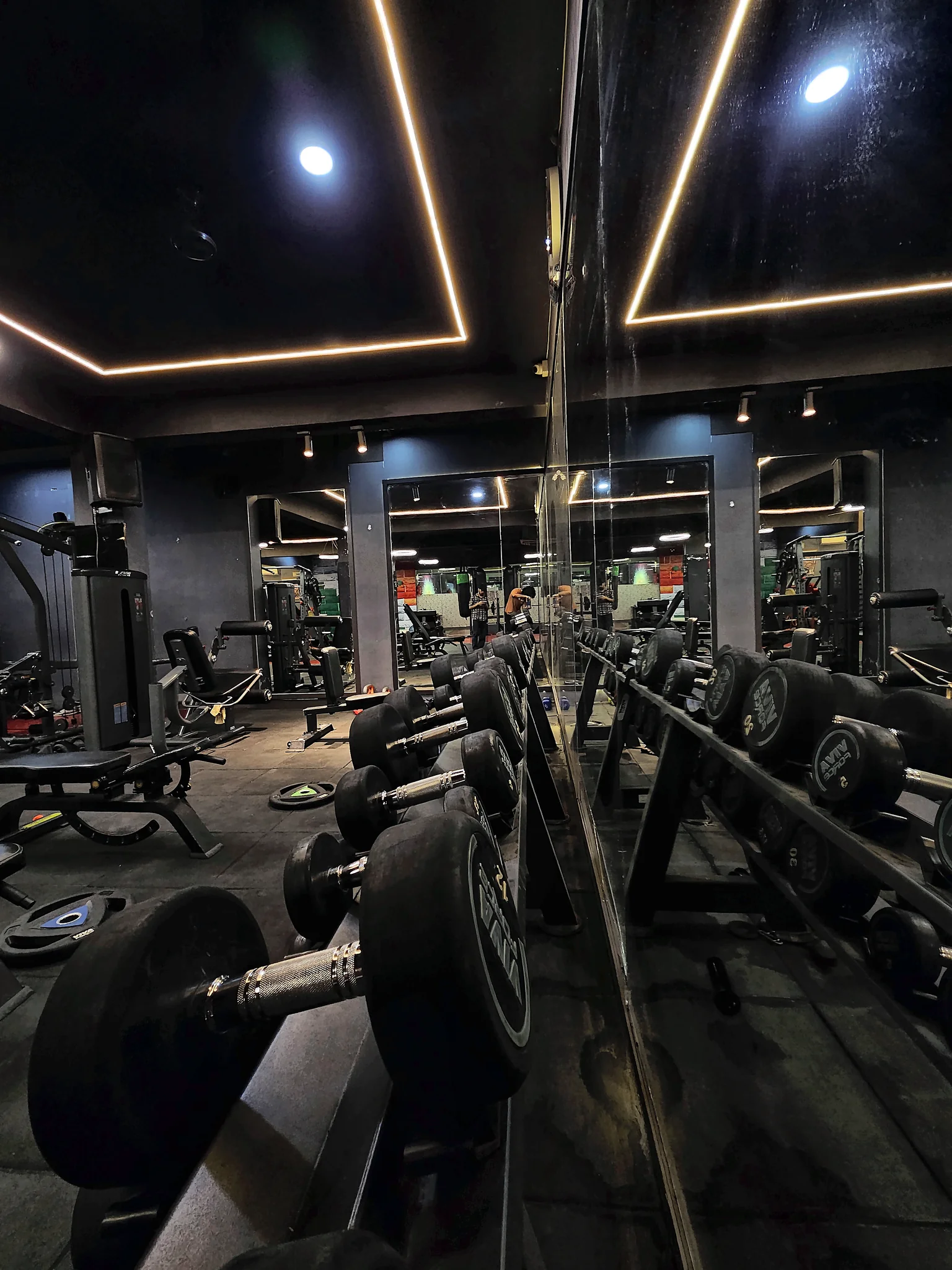 Free Weights Mirror Line