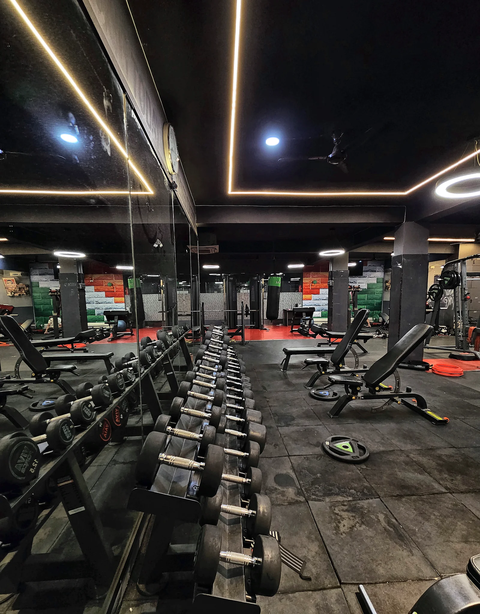 Free Weights & Dumbbells Arena