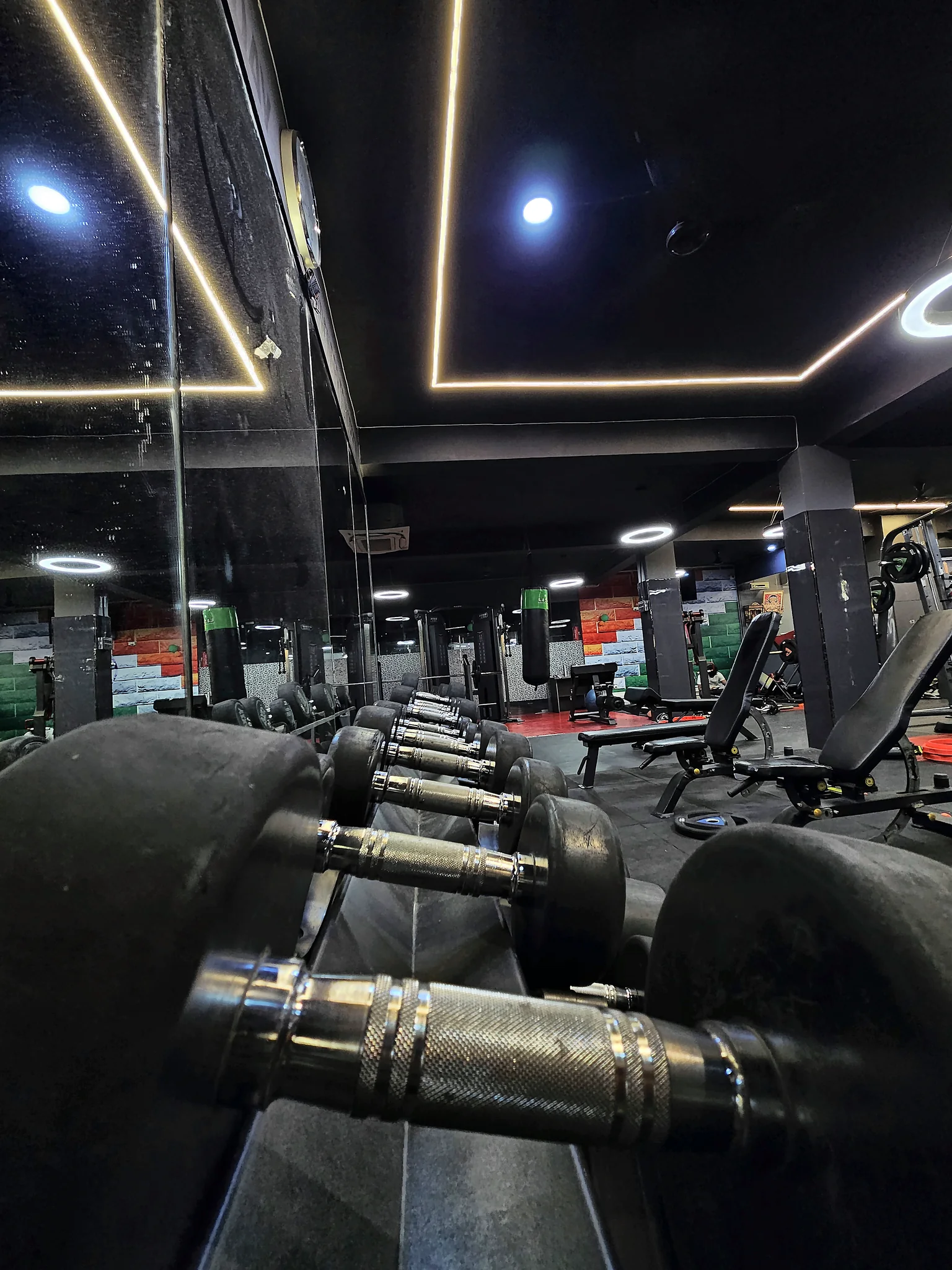 Precision Dumbbell Arsenal